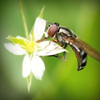 /album/acrepairspe17/photolia-a02-jpg/