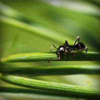 /album/acrepairspe17/photolia-a05-jpg/