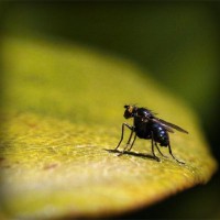 /album/acrepairspe17/photolia-a07-jpg/